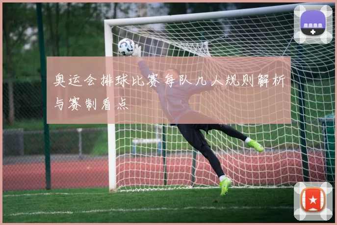 奥运会排球比赛每队几人规则解析与赛制看点