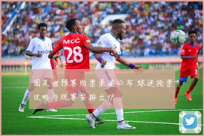 国足世预赛购票渠道公布 球迷抢票攻略与观赛安排出炉